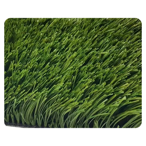 650 ECONEXT MONOTOP